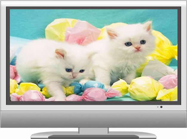 ����Һ���ҕ��(b��o)���Ԓ0755-36989889