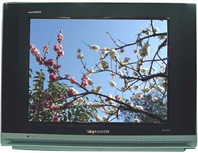 ��(chu��ng)�SCRT�ҕ��(b��o)���Ԓ0755-36989889